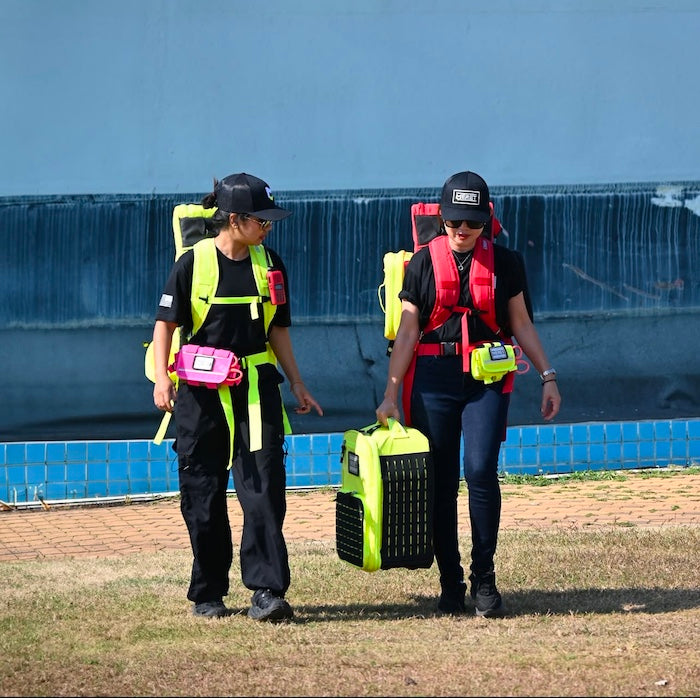 MERET BLOCK SNAPBACK TRUCKER HAT